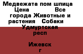 Медвежата пом шпица › Цена ­ 40 000 - Все города Животные и растения » Собаки   . Удмуртская респ.,Ижевск г.